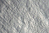 Gully Monitoring