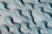 Dune Monitoring in Crater