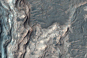 Light-Toned Layered Deposits in Ladon Valles Basin