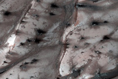 Dunes with Furrows Dubbed Lompoc