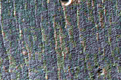 Gully Cutting into Glacier-Like Form in Nereidum Montes