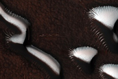 Dune Monitoring in Crater