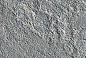 Terrain Sample