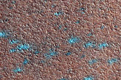 West Olympia Undae Dune Convoy Topography