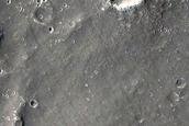 Terrain Sample