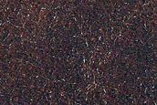 Terrain Southwest of Scandia Tholi