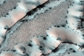 Dunes Dubbed Redondo