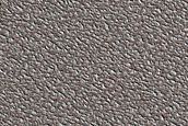 North Polar Region