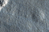Northern Plains Sample