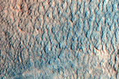 Gully Monitoring