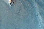 Gully Monitoring