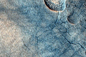 Scalloped Depressions in Utopia Planitia