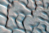Dune Field Monitoring