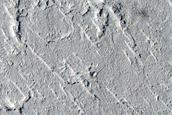 Candidate Recent Impact Site