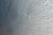 Gully Monitoring