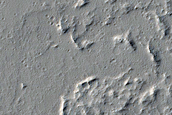 Candidate New Impact near Kasei Valles