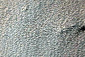 Candidate Recent Impact Site