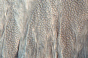 Gully Monitoring