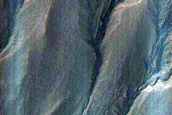 Gully Frost Monitoring