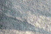 Gully Monitoring