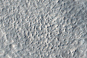 Possible New Impact in Phlegra Montes