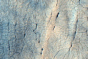 Utopia Planitia Scalloped Terrain