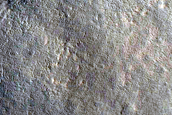 Gully Monitoring