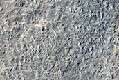 Candidate Impact Site