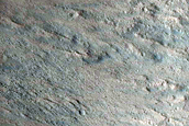 Gully Monitoring