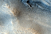 Layered Feature in Crater and Mantle on Mounds in Northern Mid-Latitudes