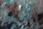 Megabreccia on Floor of Baldet Crater