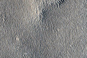 Texture Change on Northern Plains