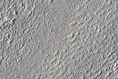 Unit Contact on Northern Plains