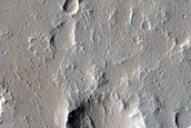 Double Craters in Tempe Terra
