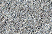 Amazonis Planitia Dust Devil Survey