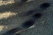 North Polar Duneforms and Frost
