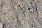 Circular Features in Utopia Planitia