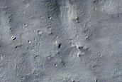 Proximal Ejecta of Small Crater