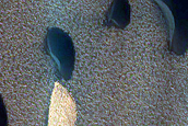 Furrows and Dunes in Hyperborei Cavi