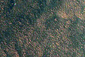 West Chasma Boreale Linear Dunes