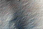 Branched Channels near Echus Chasma