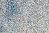 Crater Monitoring