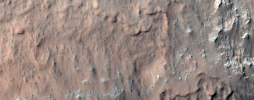 Diverse Exposures of Bedrock Associated with Circum-Hellas Planitia Massifs