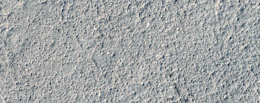 Platy-Ridged Lava Margin in Elysium Planitia