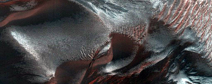 Matara Crater Dune Gully Monitoring