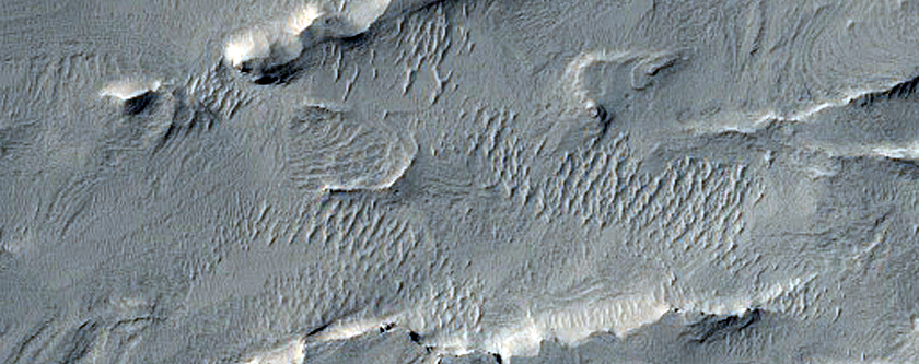 Floor of Galdakao Crater