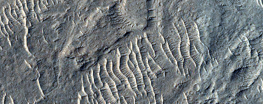 Intersection of Ridges in Aeolis Dorsa