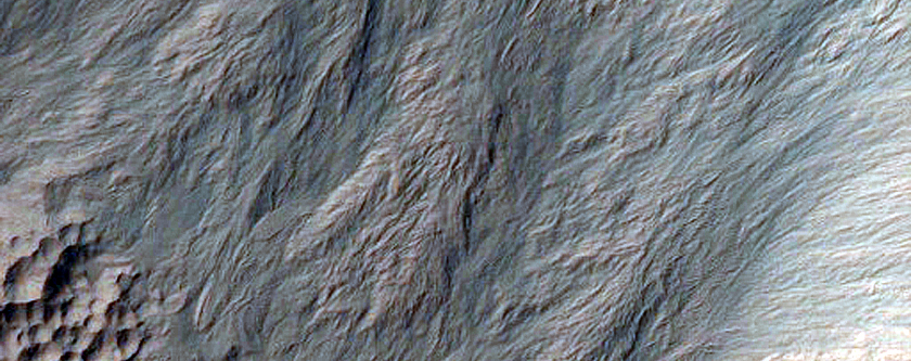 Gullies and Slope Features in Gasa Crater