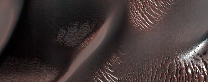 Proctor Crater Dune Gullies