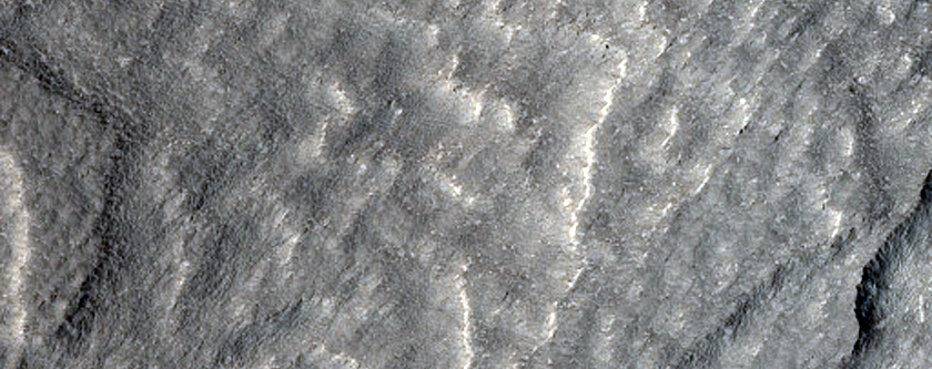 Possible Flow on Mie Crater Rim